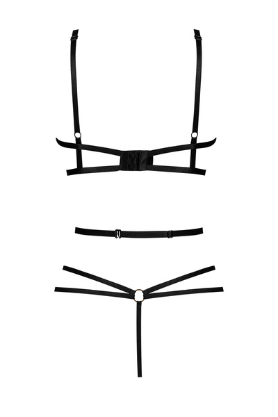 Elaris teddy (SOON)